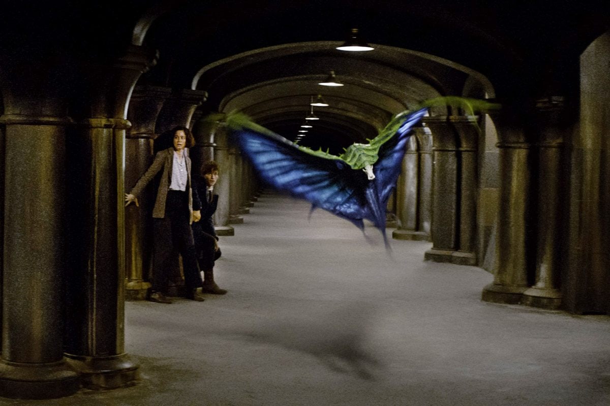 FANTASTIC BEASTS AND WHERE TO FIND THEM