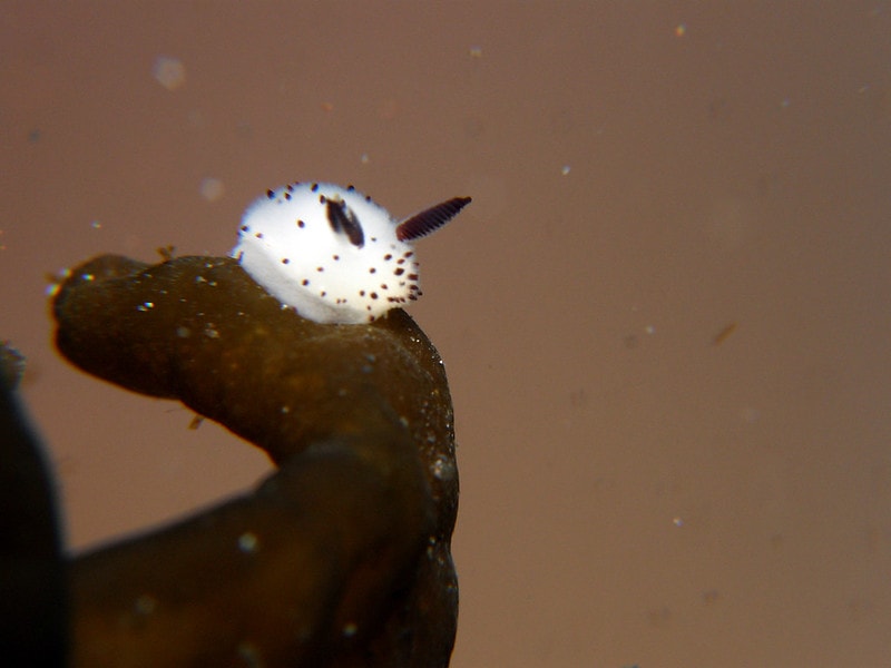 3222811070_89de92d877_c