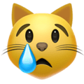crying-cat-face_1f63f