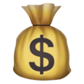 money-bag_1f4b0
