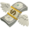 money-with-wings_1f4b8