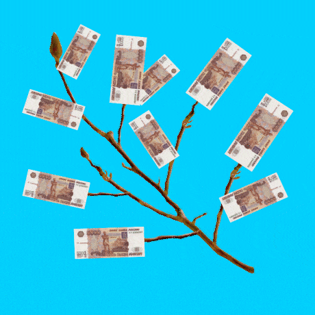 MONEY_TREE_1