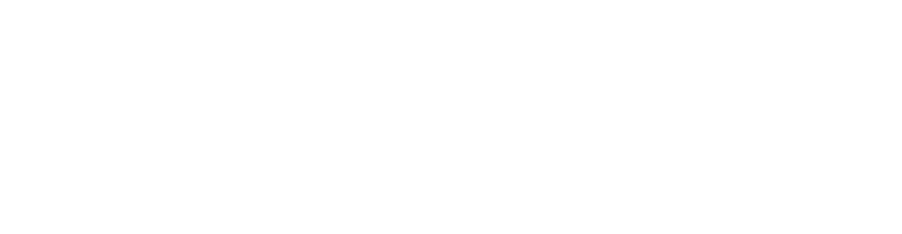pln-logo-white-02