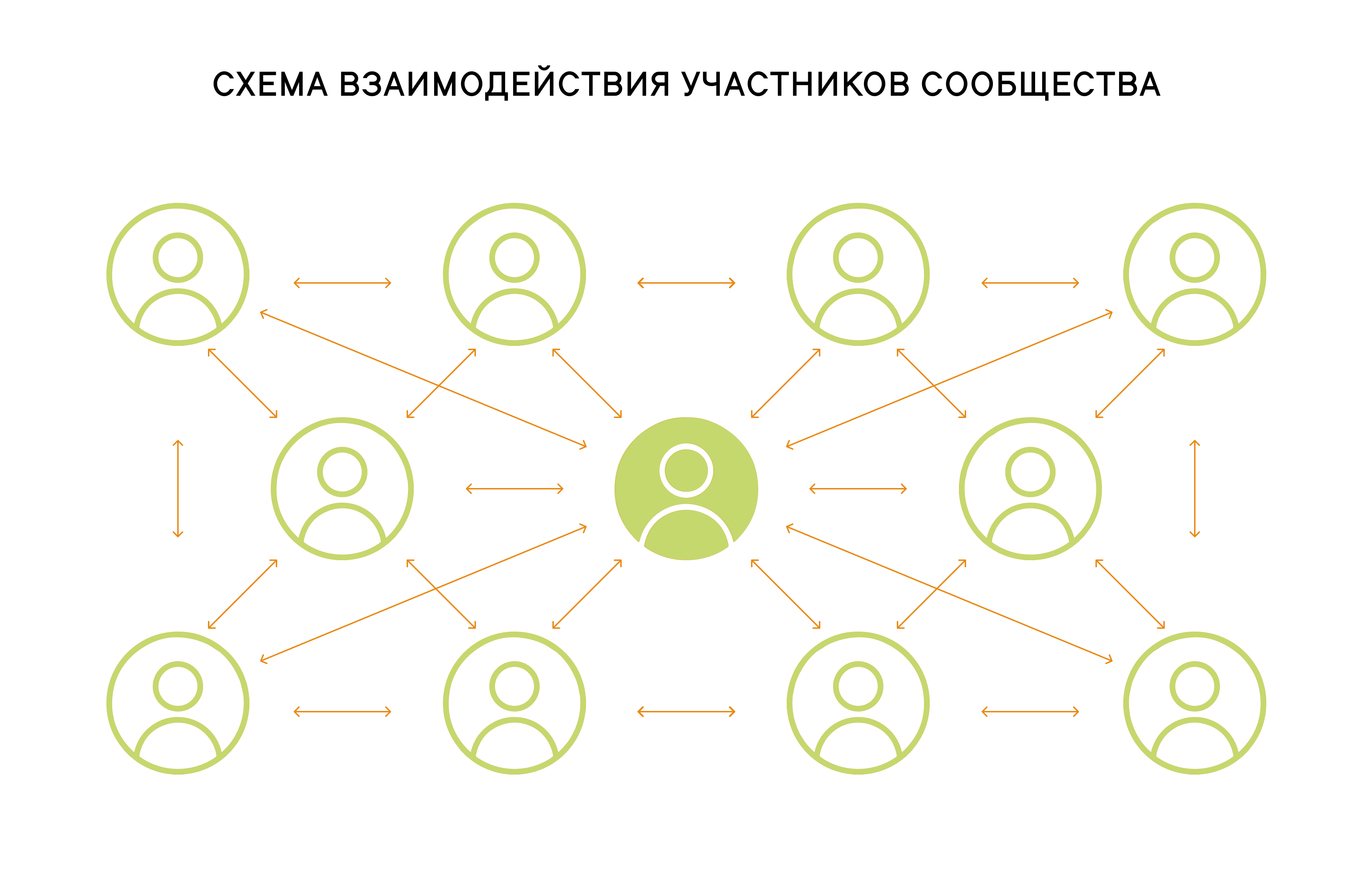 Схема структуры сообщества